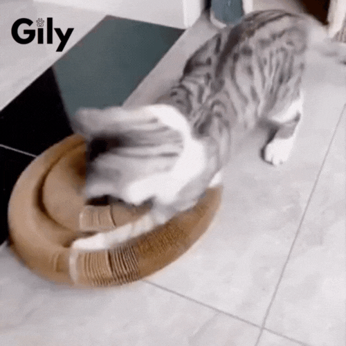 GilyKitty "la ciambella interattiva più amata dai gatti"