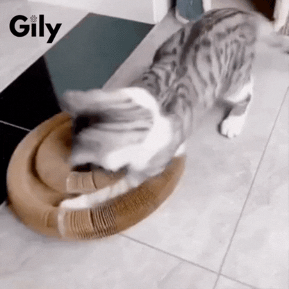 GilyKitty "la ciambella interattiva più amata dai gatti"
